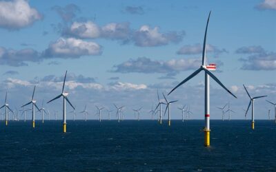 Monitoren van vogels in windparken